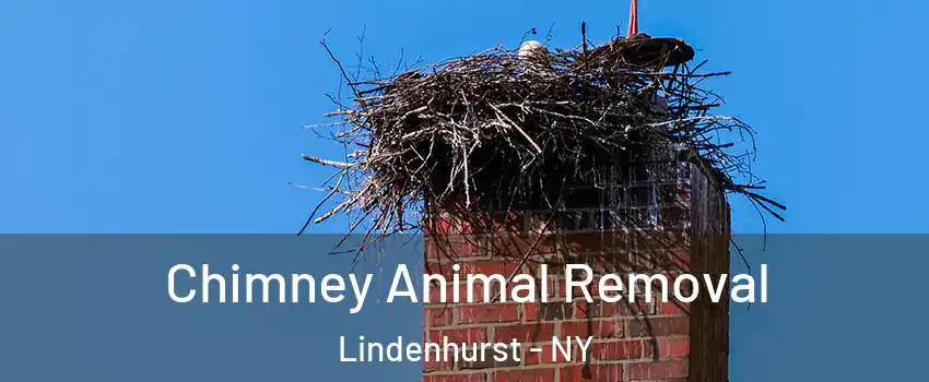  Chimney Animal Removal Lindenhurst - NY