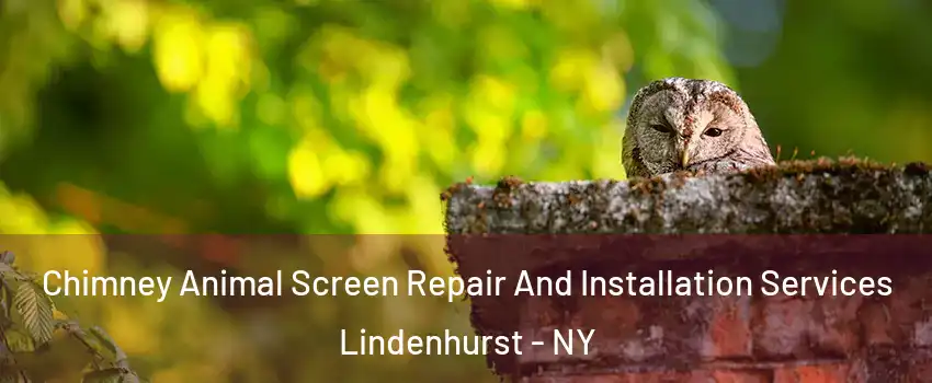  Chimney Animal Screen Repair And Installation Services Lindenhurst - NY